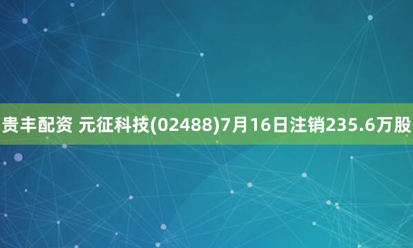 贵丰配资 元征科技(02488)7月16日注销235.6万股