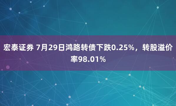宏泰证券 7月29日鸿路转债下跌0.25%，转股溢价率98.01%